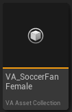 VA Asset Collection