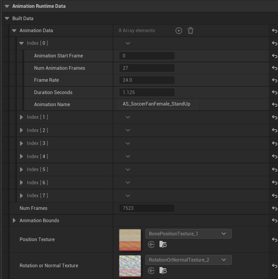 Animation Runtime Data